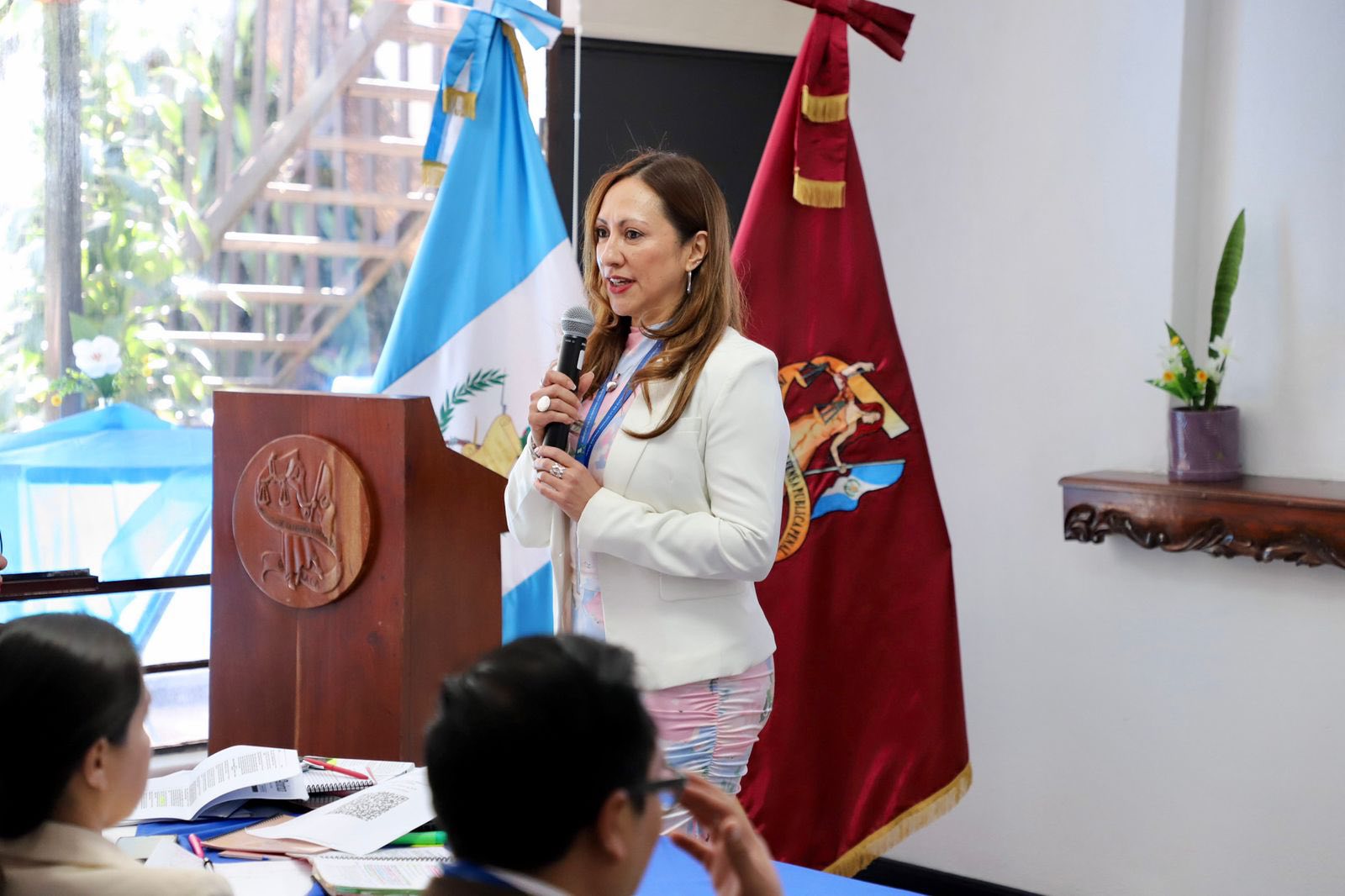 Segunda cohorte fue capacitada en jornada sobre litigio estratégico 